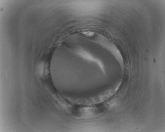 X0000070250323200606232014