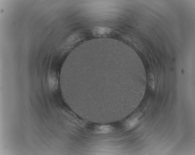 X0000070250324200606232014