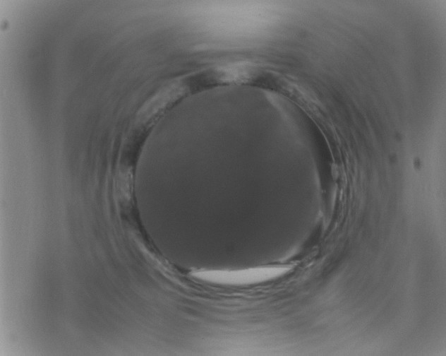 X0000070250325200606232014