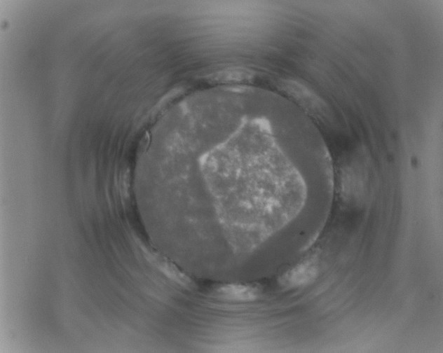 X0000070250326200606232014