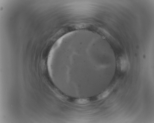 X0000070250327200606232014