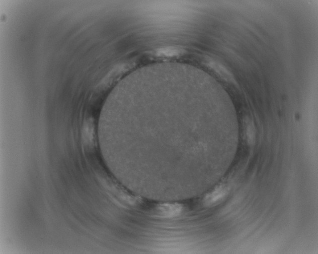 X0000070250328200606232014