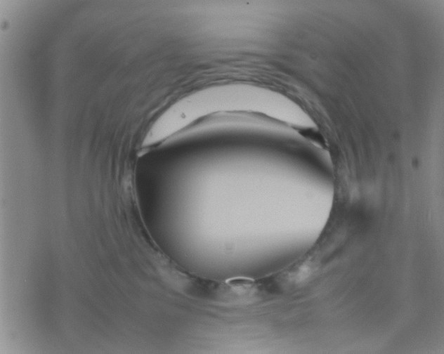 X0000070250329200606232014