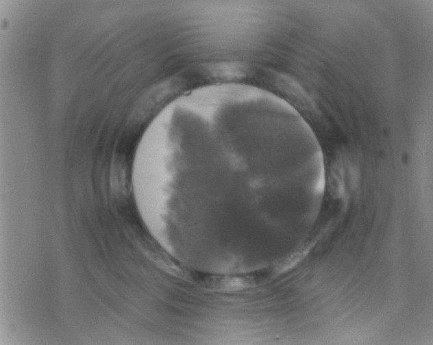 X0000070250330200606232014