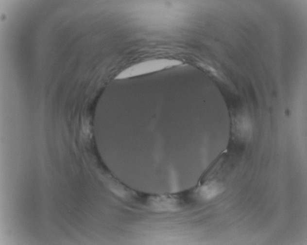 X0000070250331200606232014