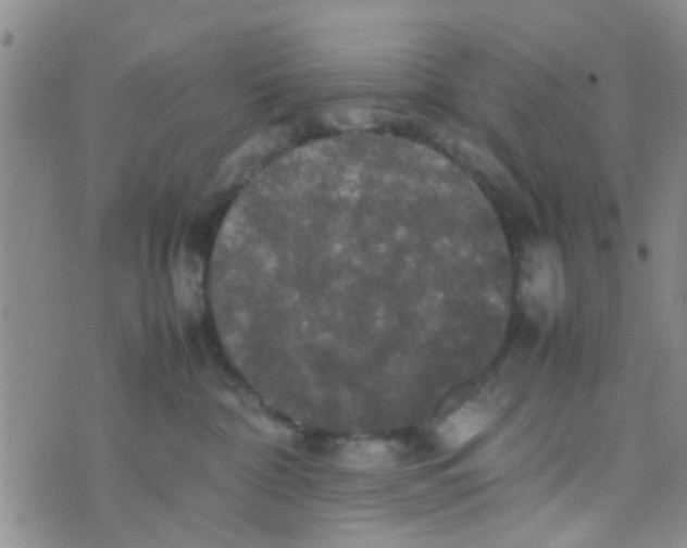 X0000070250332200606232014