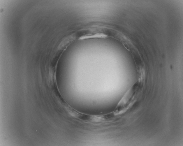 X0000070250333200606232014