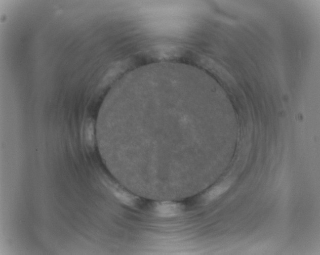 X0000070250336200606232014