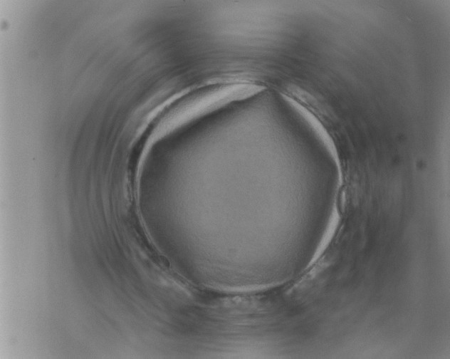 X0000070250338200606232013