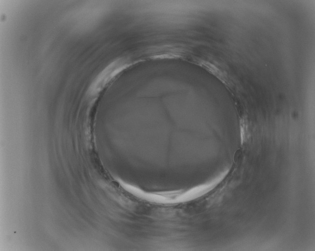 X0000070250339200606232013