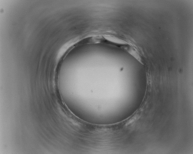 X0000070250340200606232013