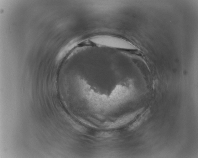 X0000070250341200606232013