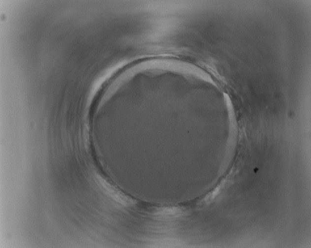 X0000070250342200606232013