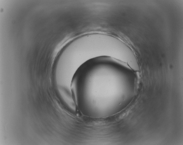 X0000070250344200606232013