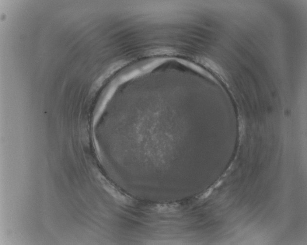 X0000070250345200606232013