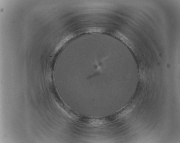 X0000070250347200606232013