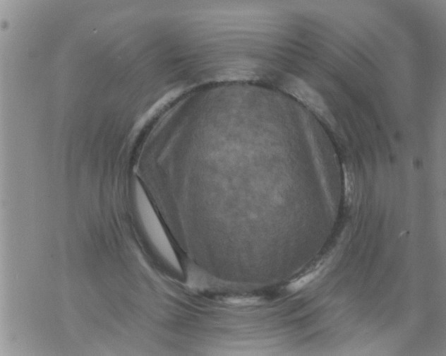 X0000070250348200606232013