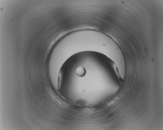 X0000070250350200606232013