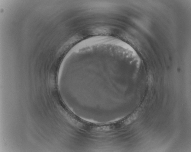 X0000070250353200606232013