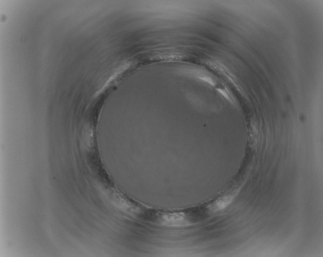 X0000070250355200606232013