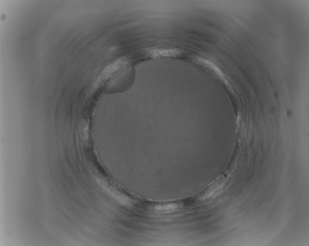 X0000070250357200606232013