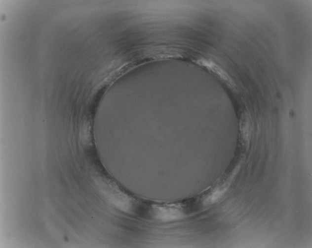 X0000070250359200606232013