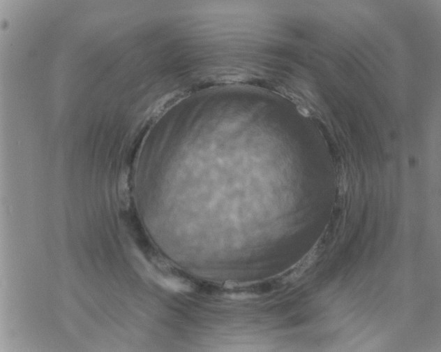 X0000070250360200606232013