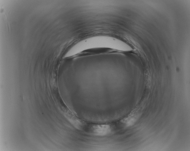 X0000070250361200606232013