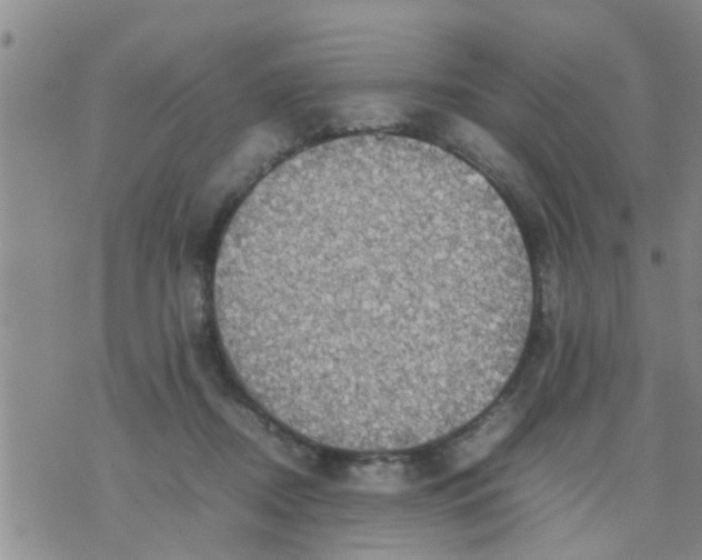 X0000070250362200606232013