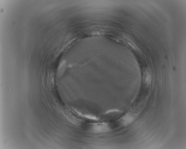 X0000070250363200606232013