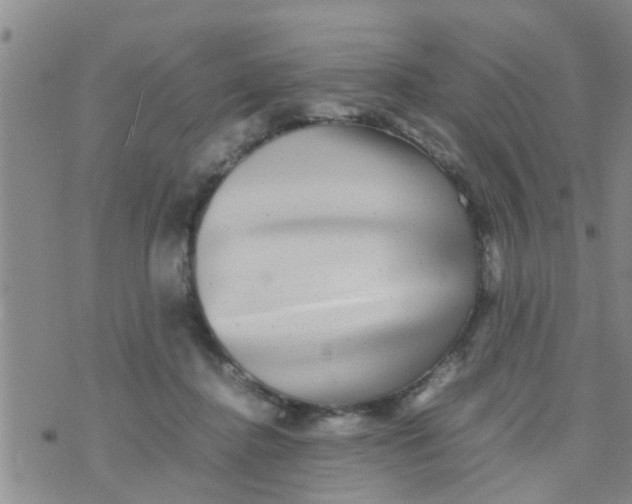 X0000070250364200606232013