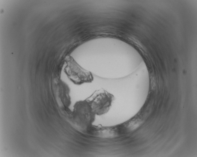 X0000070250365200606232014