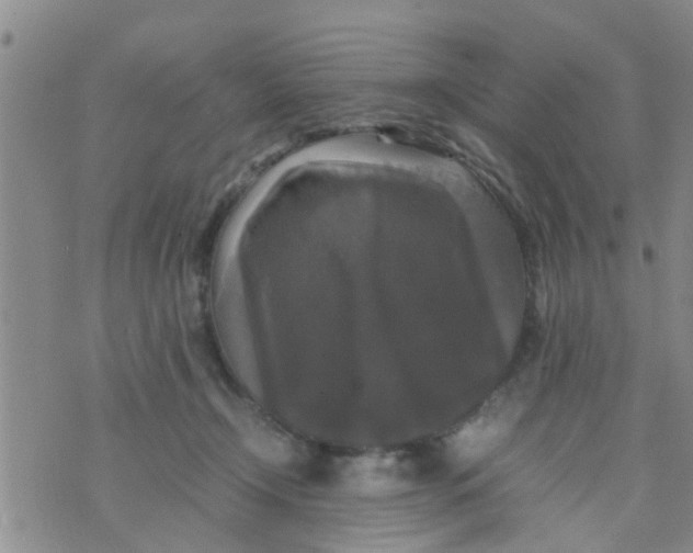 X0000070250366200606232014