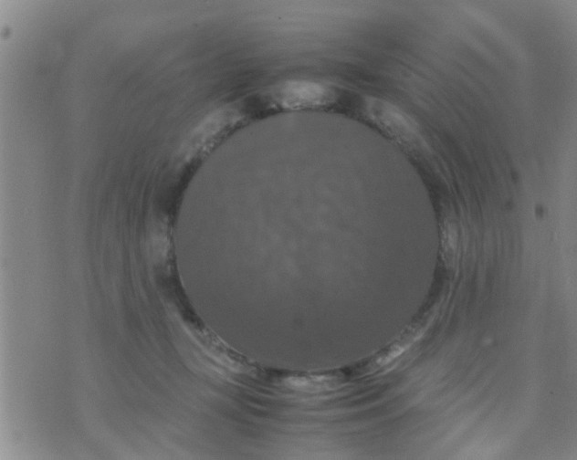 X0000070250367200606232014