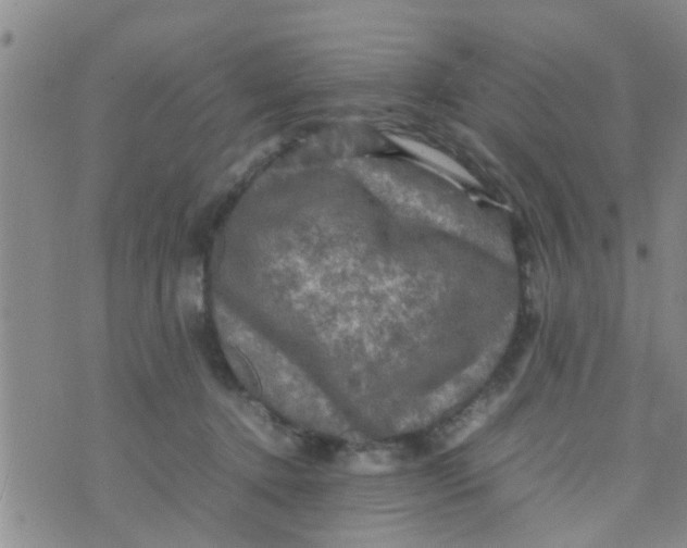 X0000070250368200606232014