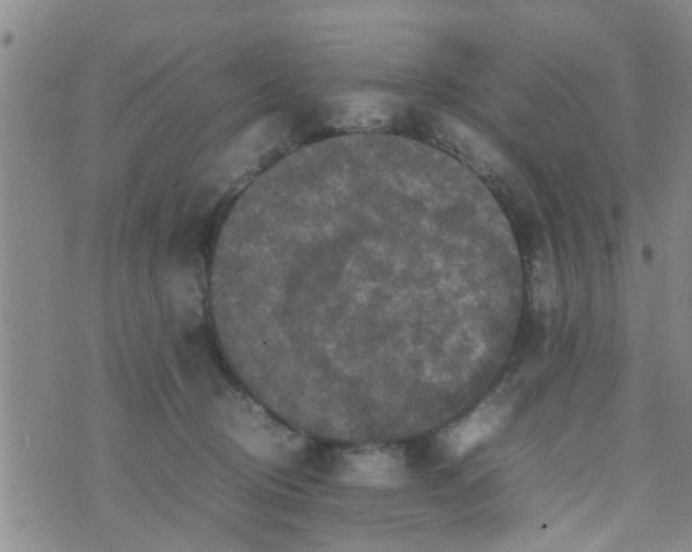 X0000070250370200606232014