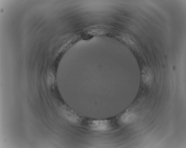 X0000070250371200606232014