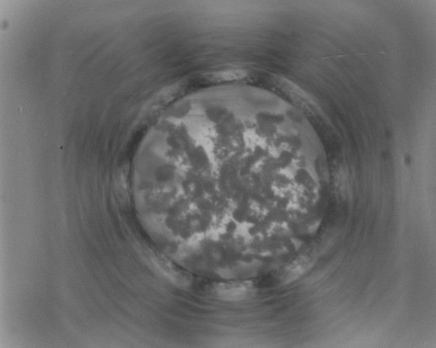 X0000070250373200606232014