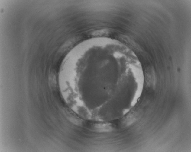 X0000070250375200606232014