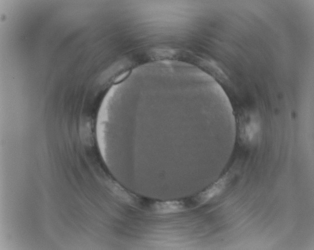 X0000070250378200606232014