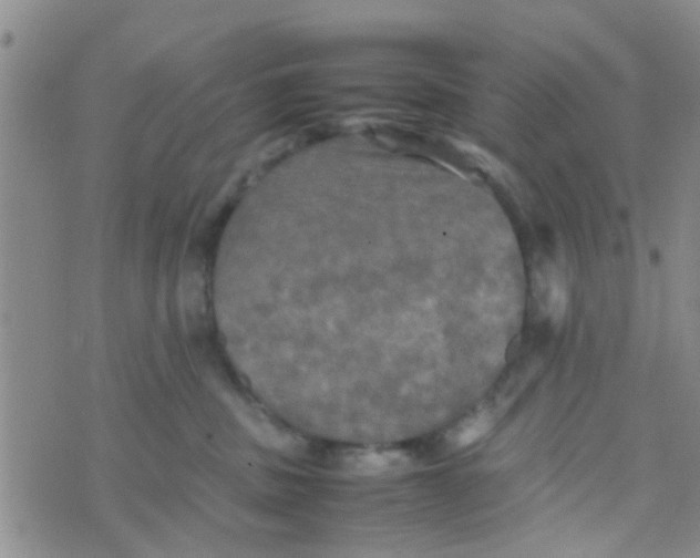 X0000070250379200606232014