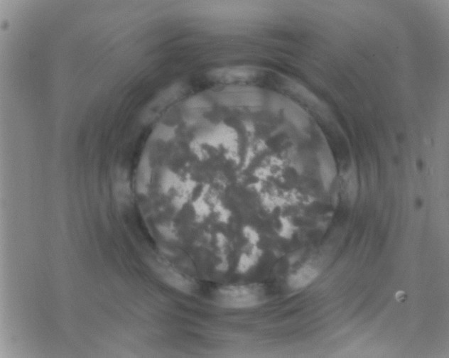 X0000070250381200606232014