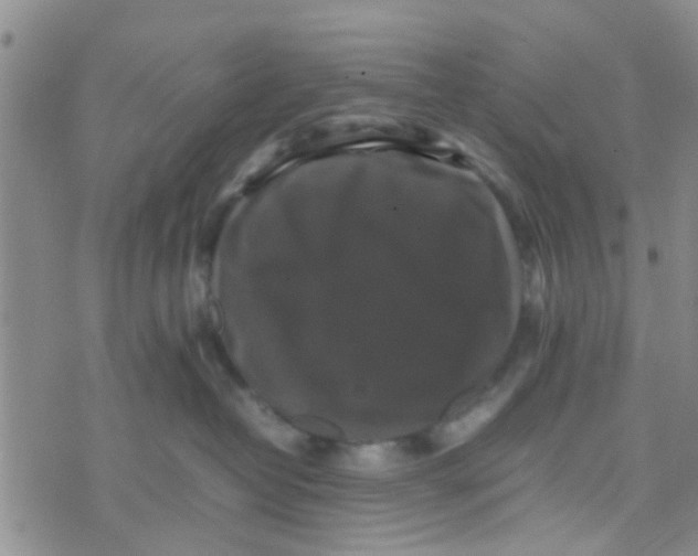 X0000070250382200606232014