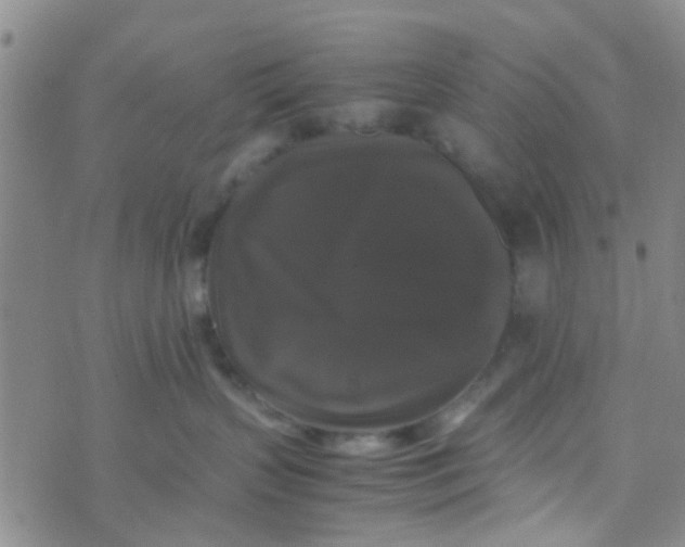 X0000070250383200606232014