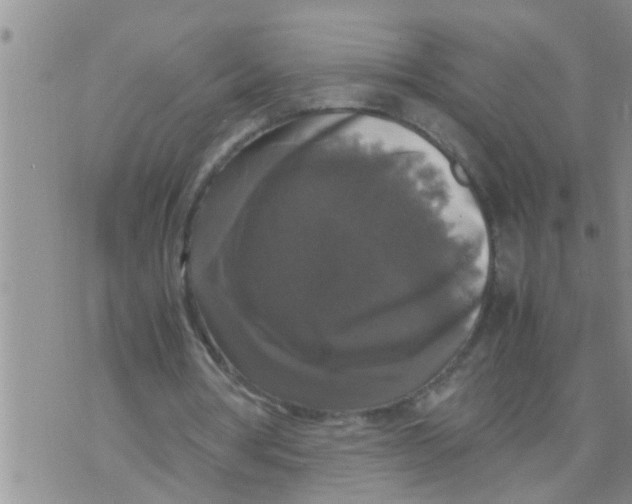 X0000070250386200606232013