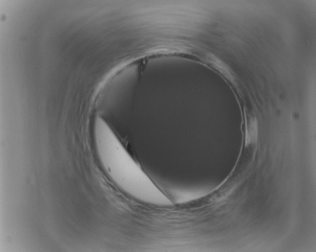 X0000070250387200606232013