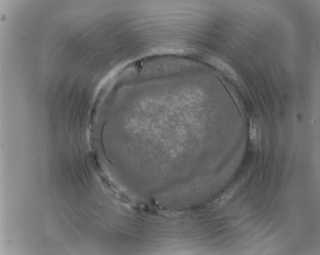 X0000070250388200606232013