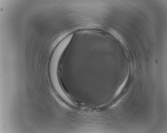 X0000070250389200606232013