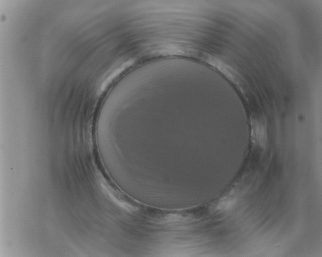 X0000070250390200606232013