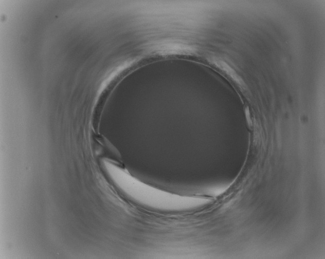 X0000070250391200606232013